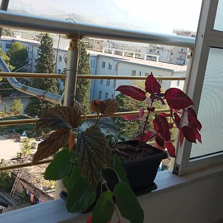 Feodora's *
