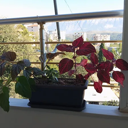 Appartamento Feodora's